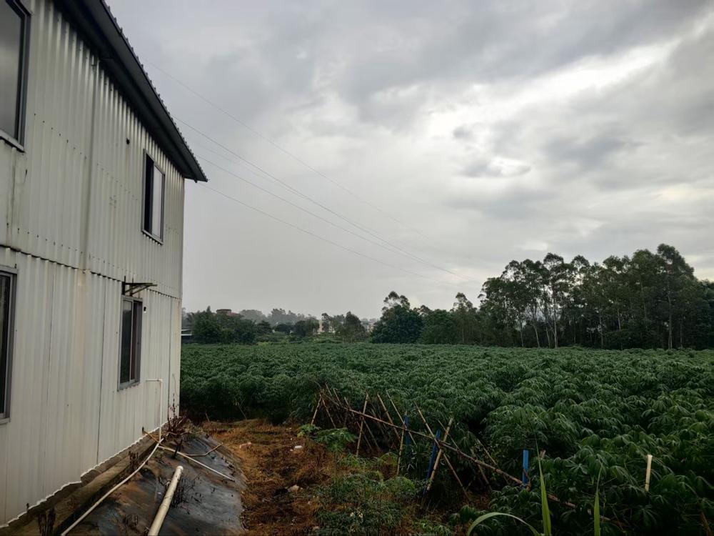 标准化初加工厂房依田而建